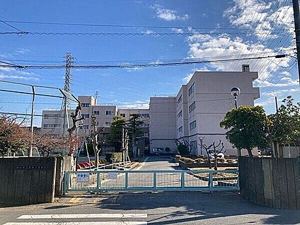越谷市立宮本小学校 546m