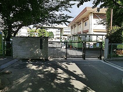 市川市立菅野小学校 293m
