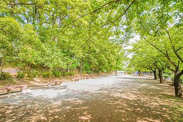 舟山公園（約495m）