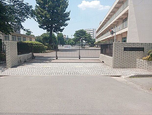 相模原市立橋本小学校（約303m）