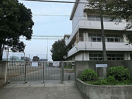 横浜市立上飯田中学校 254m