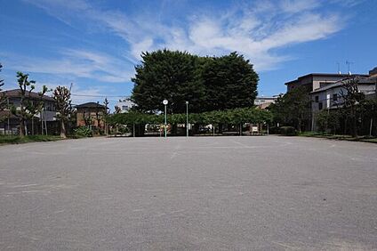 東植竹公園 401m