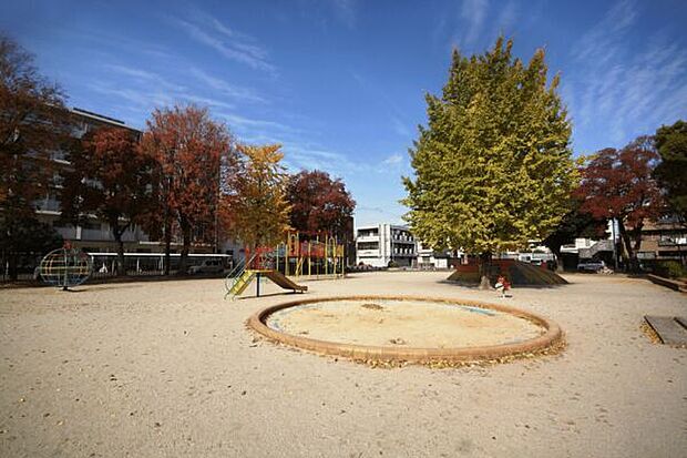 四条公園（約106m）