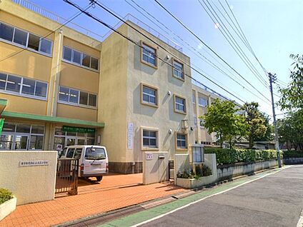 葛飾区立末広小学校 523m