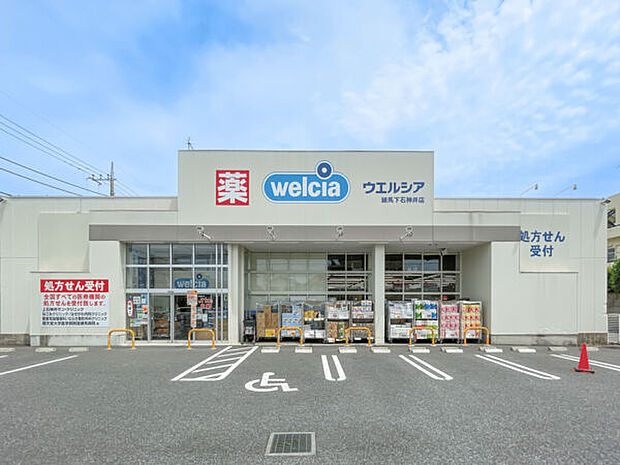 ウェルシア 練馬下石神井店（約651m）