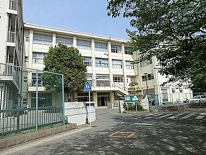 鎌倉市立玉縄中学校 750m