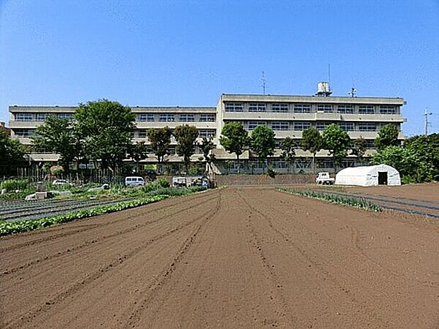 海老名市立大谷中学校（約1,384m）