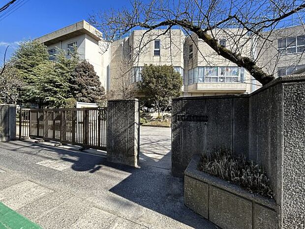 市川市立鬼高小学校(約915m)
