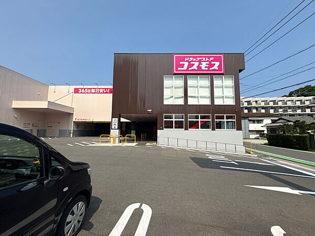 ドラッグストアコスモス 御島崎店（約1,284m）