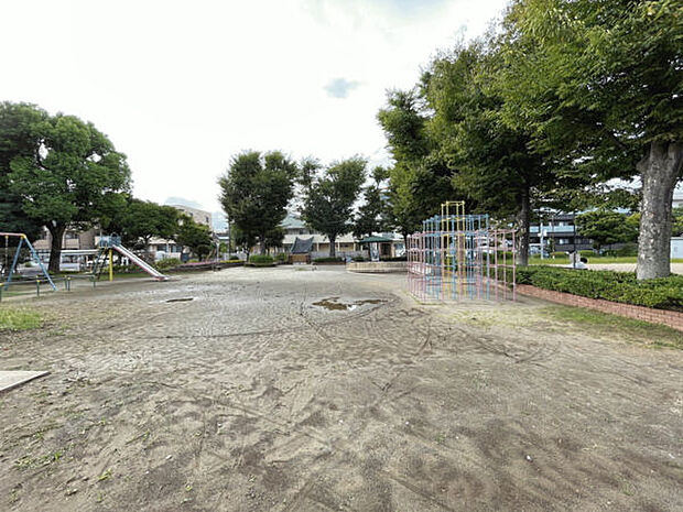 東沖公園(約795m)