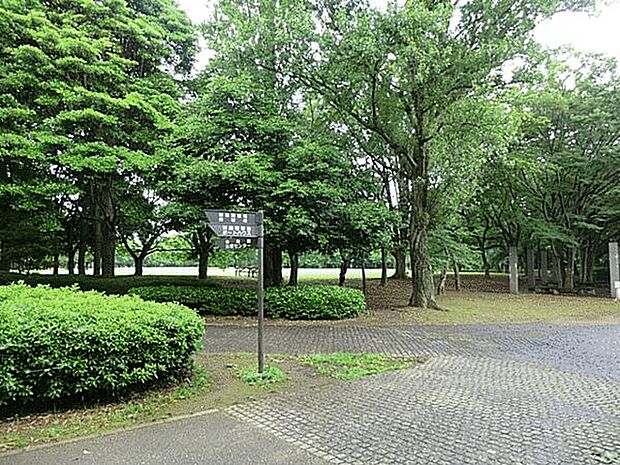県立柏の葉公園(約1,378m)