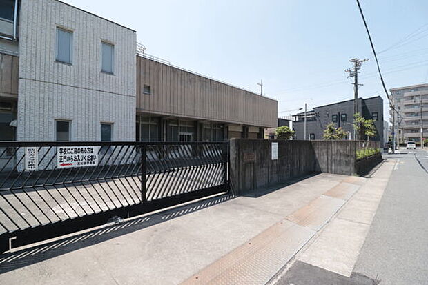 スギ薬局 新中島店（約833m）