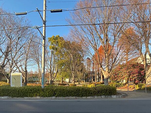 与野中央公園（約427m）