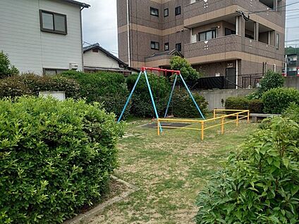 白浜公園 28m
