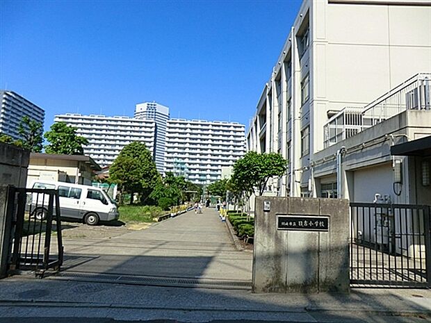 北加瀬北ノ根公園（約781m）