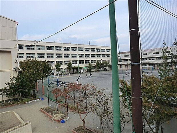 横浜市立坂本小学校(約327m)