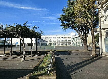 横浜市立南瀬谷小学校 470m