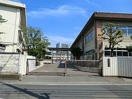 川崎市立御幸中学校 804m