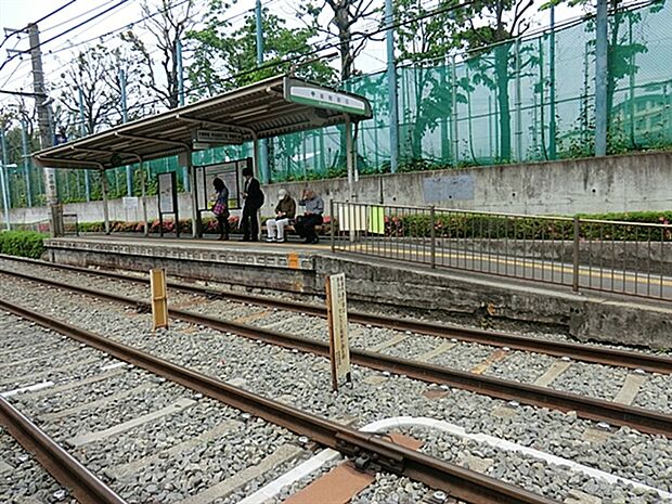 都電荒川線「巣鴨新田」駅(約320m)