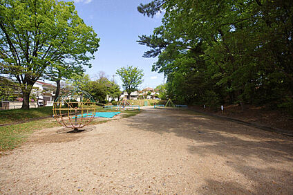 上朝日出公園 110m