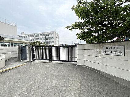 名古屋市立川中小学校 127m