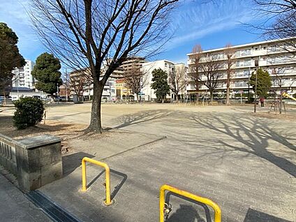 菅原公園 973m
