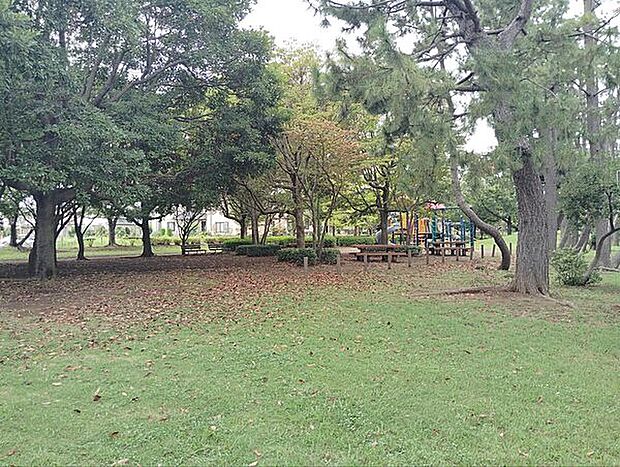 袖ケ浦東近隣公園(約1,035m)