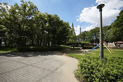 中央公園 454m