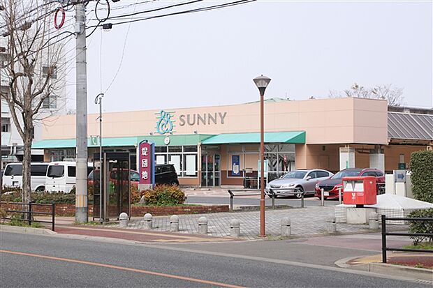 サニー堤店(約1,137m)