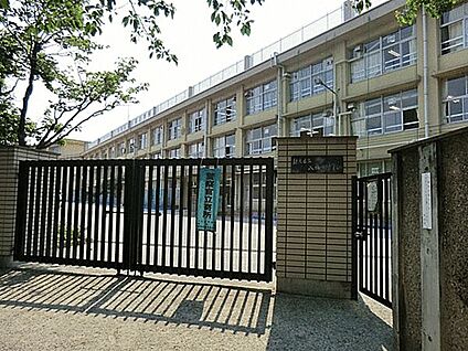 練馬区立八坂小学校 260m