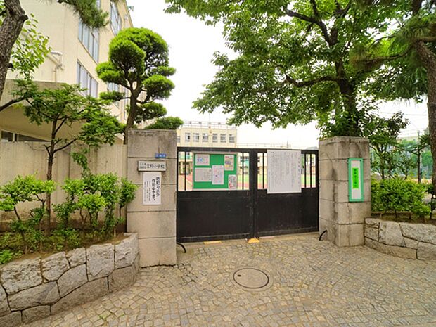 墨田区立言問小学校（約153m）