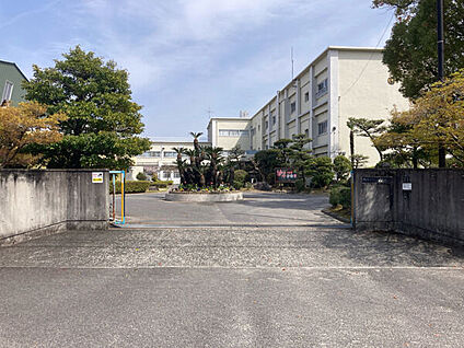 岡崎市立連尺小学校 1184m