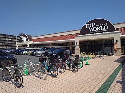 トップワールド 楠葉店 684m