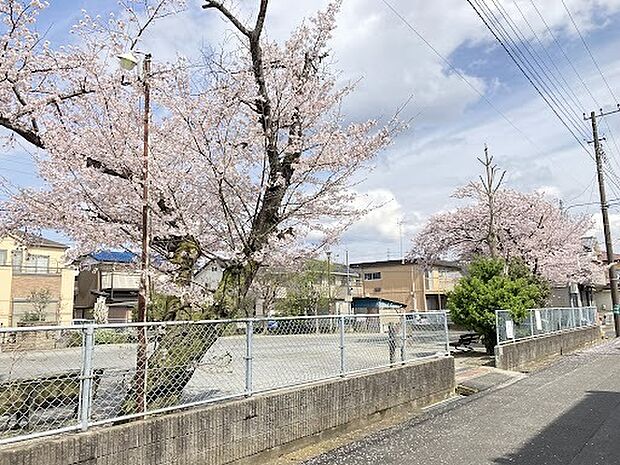 鰭ヶ崎2号公園（約816m）