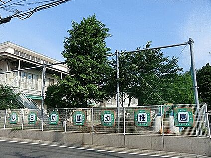 しらかば幼稚園 585m