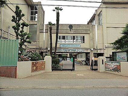 柏市立高柳小学校 785m