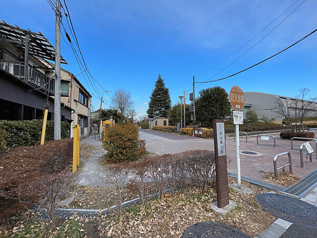 北区立白山堀公園（約34m）