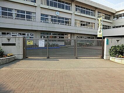調布市立柏野小学校 282m