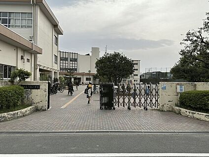 藤沢市立八松小学校 674m