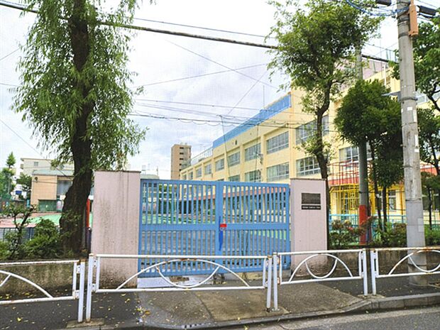 墨田区立横川小学校(約704m)
