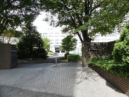 名古屋市立冨士中学校 1128m