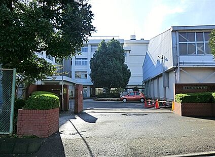 横浜市立新羽中学校 2253m