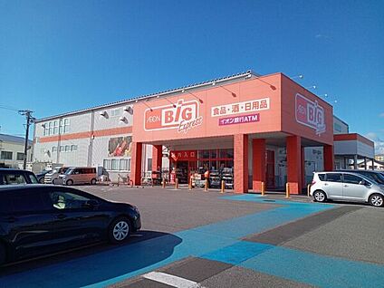 ザ・ビッグエクスプレス岡崎福岡店 781m