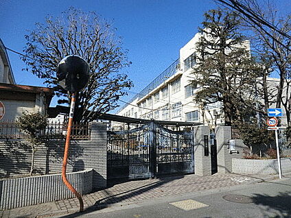 中野区立美鳩小学校 184m
