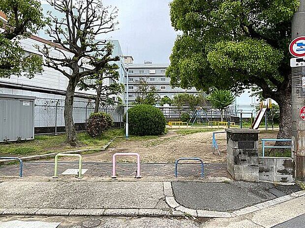 千間川公園(約561m)