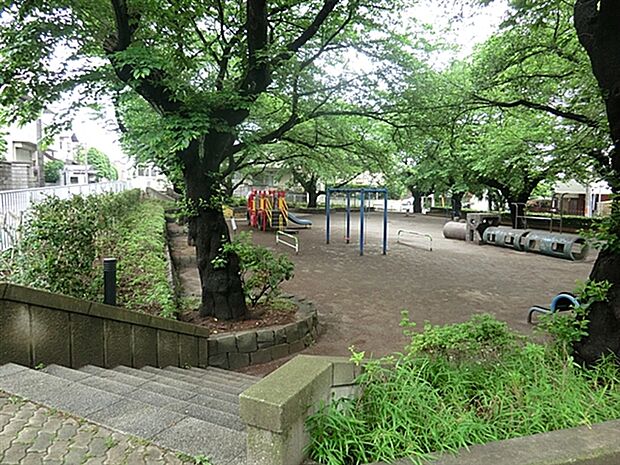 葉根木公園(約298m)