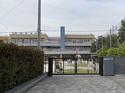 三鷹市立東台小学校 557m