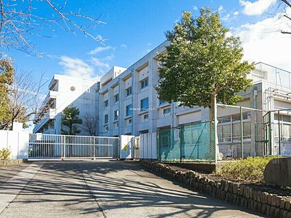 横浜市立平戸中学校 996m