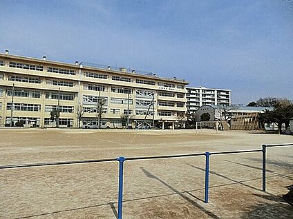 松戸市立梨香台小学校 1017m