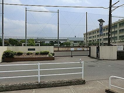 茅ヶ崎市立今宿小学校 957m